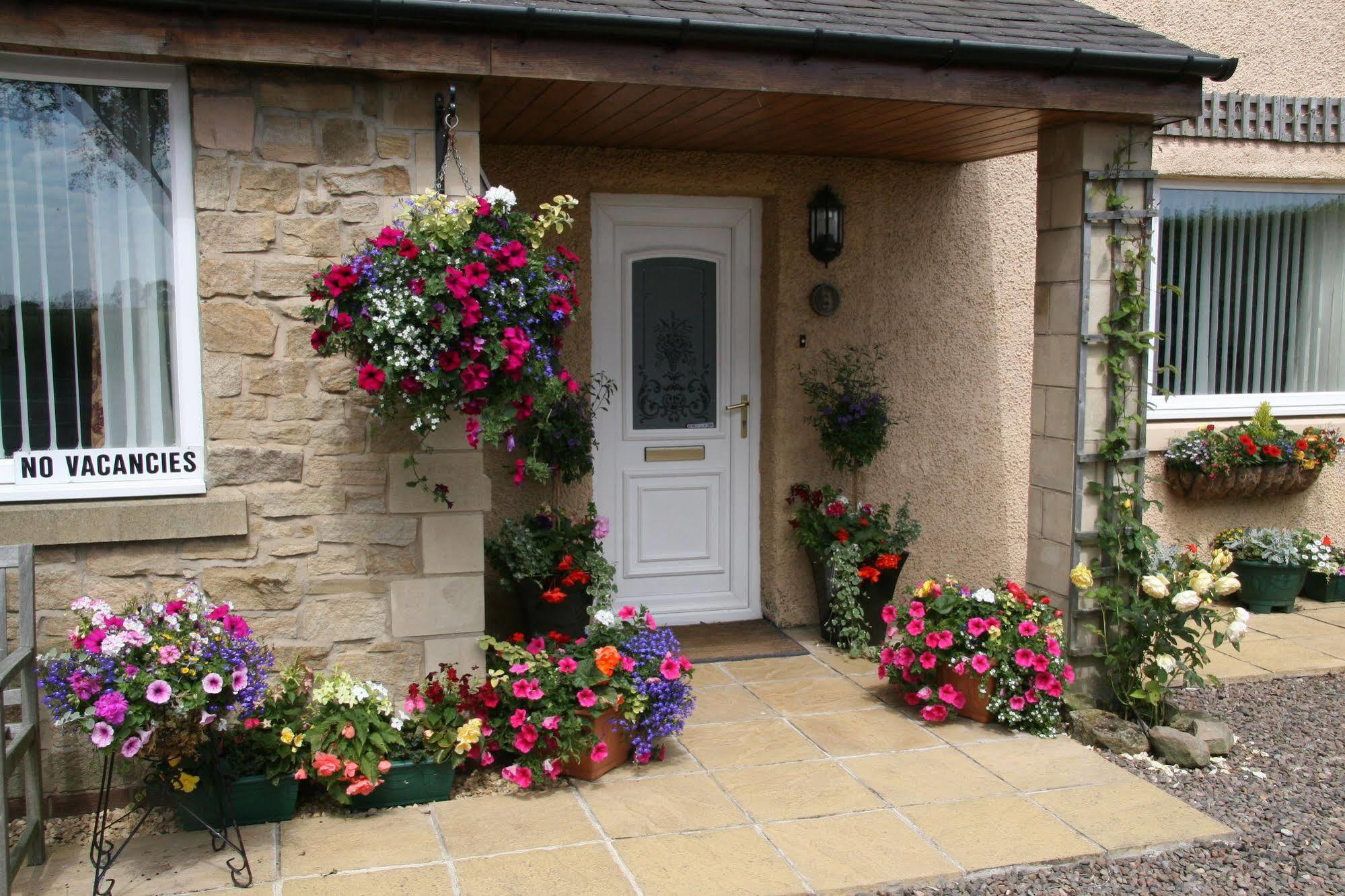 Northumberland Cottage B&B Acklington Exteriör bild