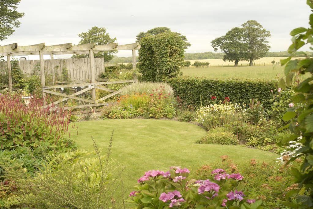 Northumberland Cottage B&B Acklington Exteriör bild